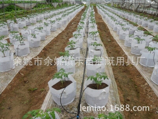 Ingenieurswerk Plastic Drip Fittings voor aanpasbare draagbare irrigatie voor huishoudelijke planten