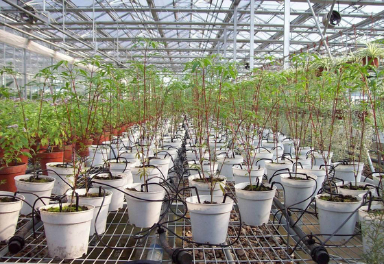 Ingenieurswerk Plastic Drip Fittings voor aanpasbare draagbare irrigatie voor huishoudelijke planten