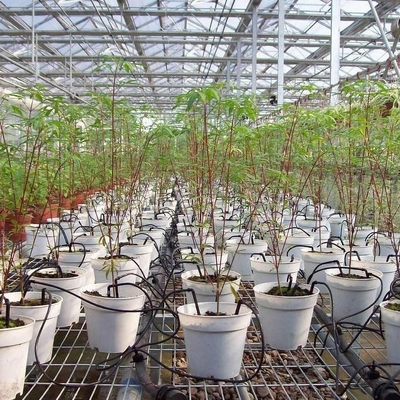 Aanpasbare draagbare irrigatietoestellen voor huishoudelijke planten met duurzaam droppijlontwerp