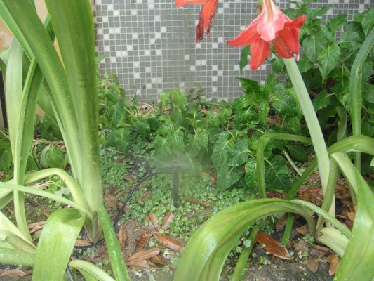 Verstelbare bereik sprinkler voor micro-irrigatie van potgewassen Duurzaam en duurzaam