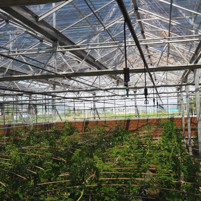 6 mm Duurzame 360-roterende sprinkler voor tuingrasboerderij irrigatie