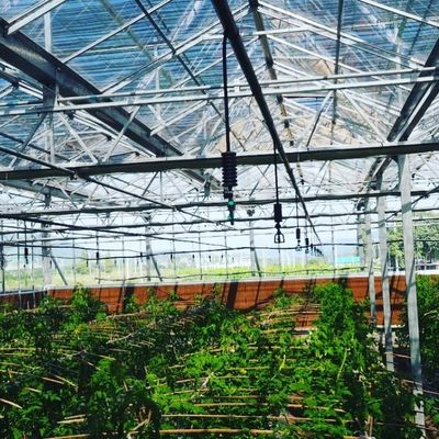 360 graden omgekeerde positie Rotary sprinkler voor roterende gazon irrigatiesysteem