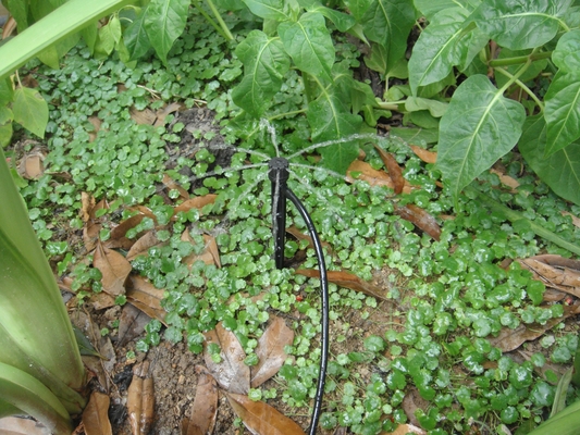 Straal-/centrifugeel geïntroduceerde schakel sprinkler voor consistente irrigatie in de tuin