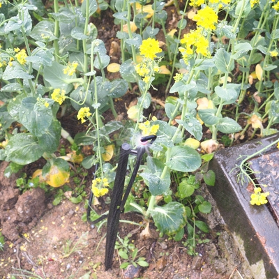 G-type 360 bosbouwverwateringsrefractiesprinkler Micro met waterdrukregeling