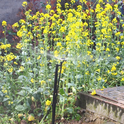 G Type 360 Land- en bosbouw Tuin sprinkler voor irrigatie Quick Connect