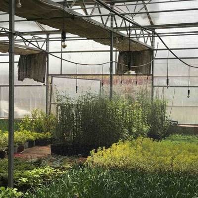 Commerciële kopers krijgen korting op 360 graden tuinsprinkler voor landbouwbewatering