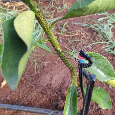 360 graden landbouwwatersprinkler Normale stijl voor micro-sprinkler irrigatie