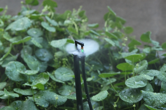 G-type Land- en bosbouw irrigatie micro-sprinkler Normale stijl voor tv-winkelen